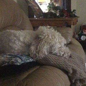 Meet your Posher, Brenda